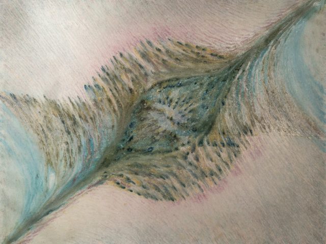 HASBUN’ Nebulosa Flamante.